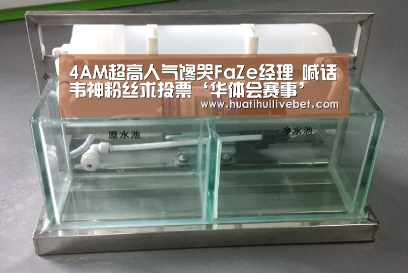 4AM超高人气馋哭FaZe经理 喊话韦神粉丝求投票‘华体会赛事’(图3) 华体会平台