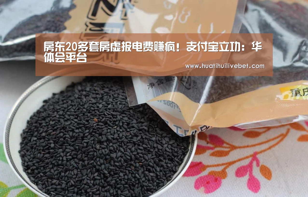 房东20多套房虚报电费赚疯！支付宝立功：
